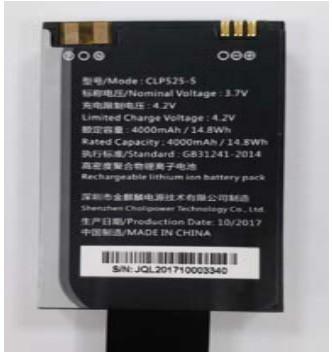 Lithium-Polymer (LiPo) — CLPS25-S / 4000 mAh pack